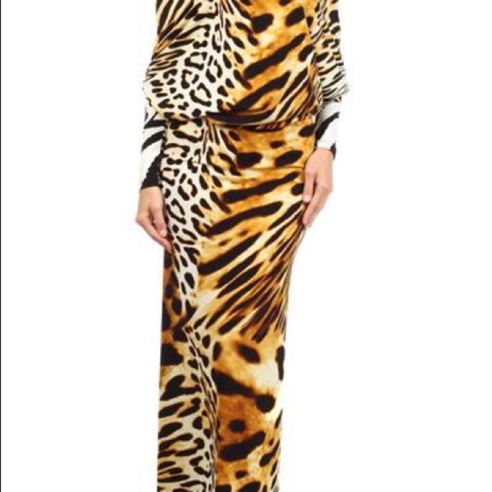 Maxi animal print dress